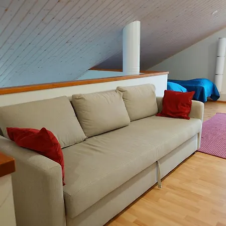 Tahkon Koivulan Kivi Apartment *